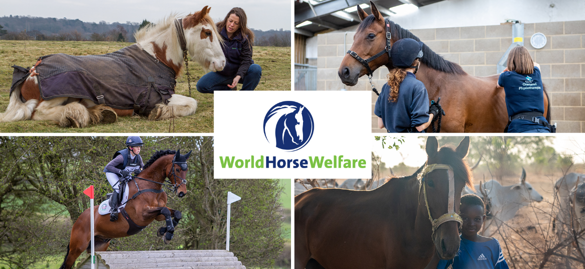 World Horse Welfare